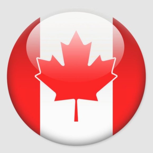 Torrid Trio limitless stretch jeans boot cut 10-14 NWT - Picture 5 of 5